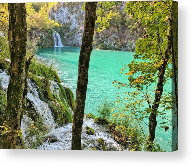 Plitvice Lakes Acrylic Print featuring the photograph Turquoise Beauty In The Woods by Yvonne Jasinski