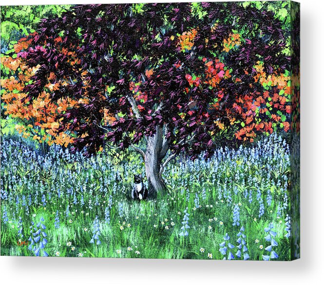 Tuxedo Cat Acrylic Print featuring the painting Tuxedo Cat under a Japanese Maple Tree by Laura Iverson