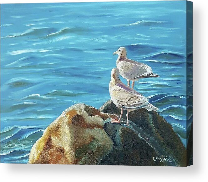 Seagulls Acrylic Print featuring the painting Two for the View by Connie Rish