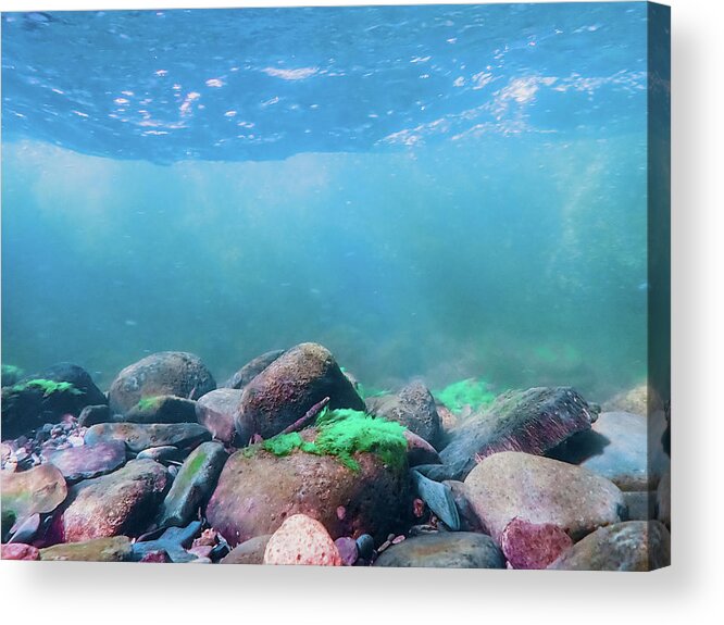 Sea Acrylic Print featuring the photograph Underwater Scene - Upper Delaware River 6 by Amelia Pearn