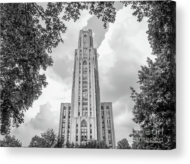 University Of Pittsburg Acrylic Print featuring the photograph University of Pittsburgh Cathedral of Learning Front by University Icons