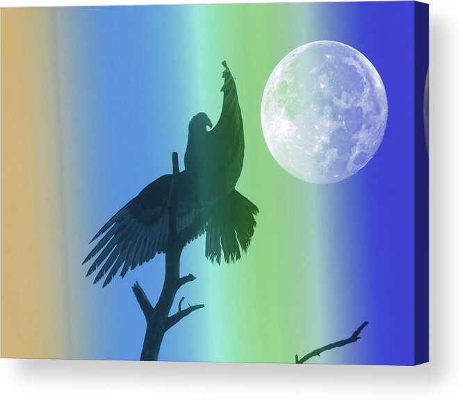 Moon Acrylic Print featuring the photograph Vulture Moon by Carl Moore