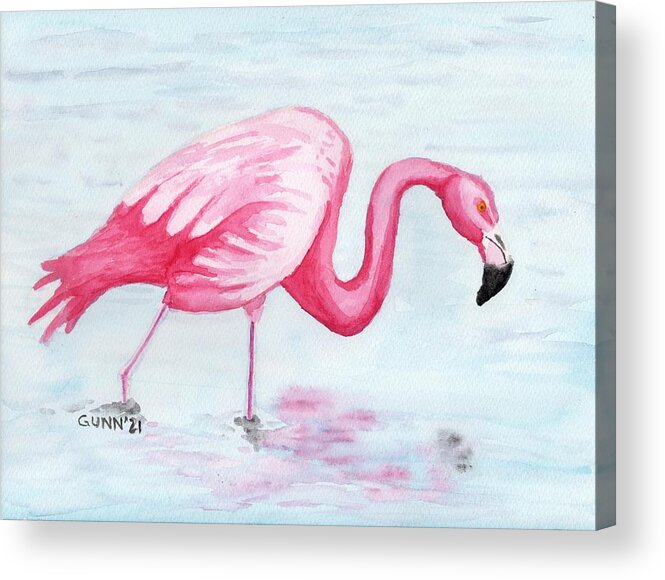 Flamingo Acrylic Print featuring the painting Wading Flamingo by Katrina Gunn
