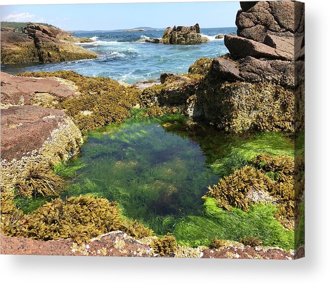Ocean Acrylic Print featuring the photograph Wading Pool by Lee Darnell