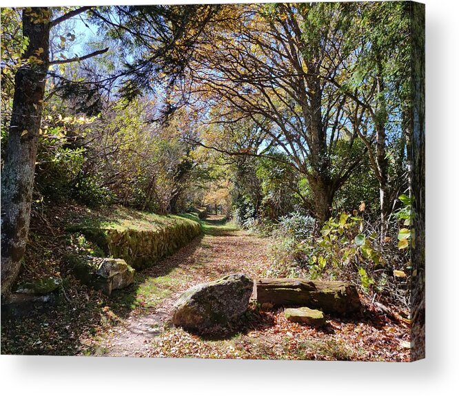 Autumn Acrylic Print featuring the photograph Walk With Me by Allen Nice-Webb