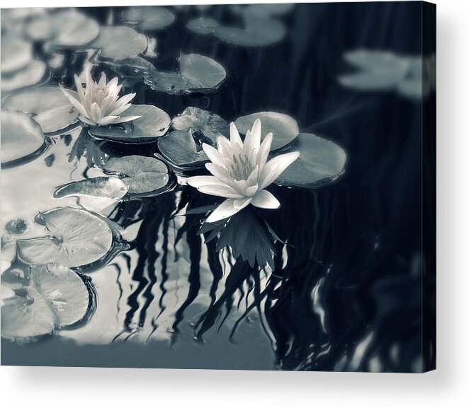 Nature Acrylic Print featuring the photograph Water Lily by Jessica Jenney