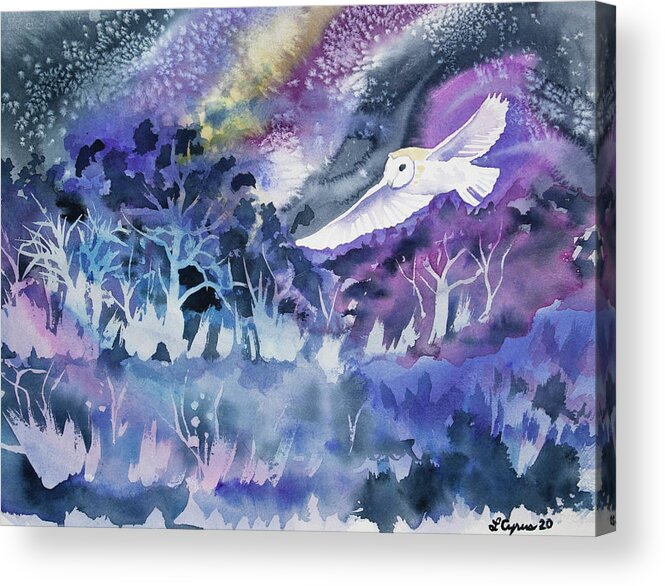 Barn Owl Acrylic Print featuring the painting Watercolor - Barn Owl at Night by Cascade Colors