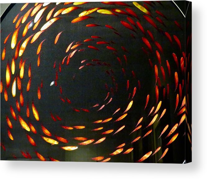 Spirals Acrylic Print featuring the photograph School in Session by Kerry Obrist