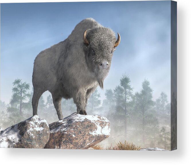 White Buffalo Acrylic Print featuring the digital art White Buffalo In Winter by Daniel Eskridge