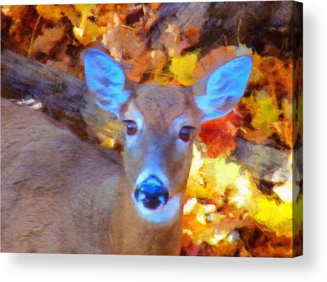 Whitetail Acrylic Print featuring the mixed media Whitetail by Christopher Reed