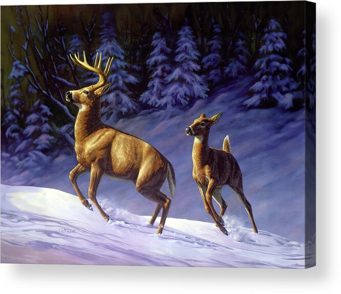 Deer Acrylic Print featuring the painting Whitetail Deer Painting - Startled by Crista Forest