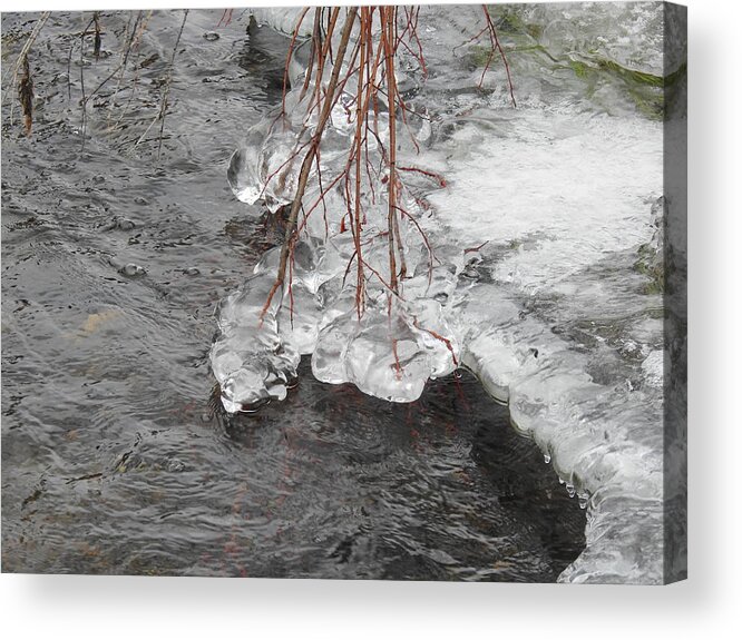Ice Acrylic Print featuring the photograph Winter creek by Nicola Finch