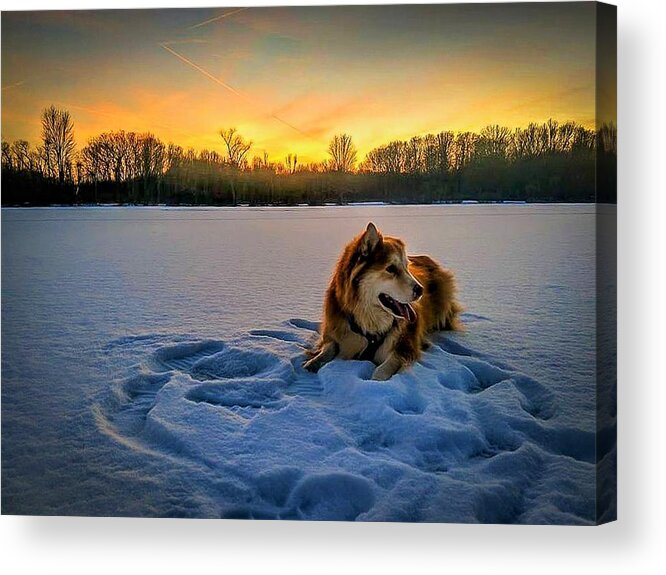  Acrylic Print featuring the photograph Winter Sunset by Brad Nellis