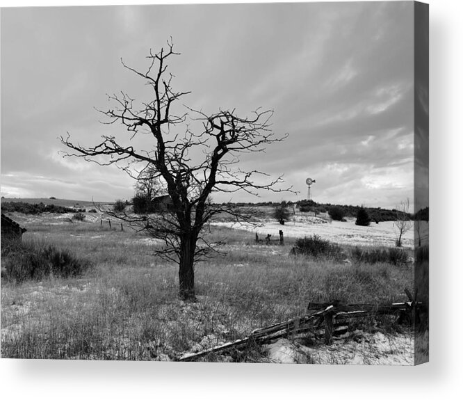 Winter Acrylic Print featuring the photograph Winter Tree Silhouette BW by Jerry Abbott