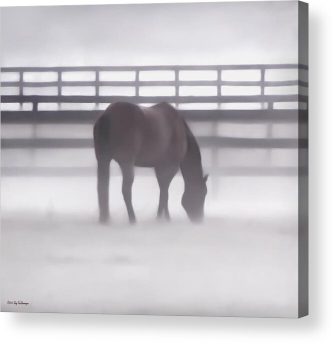 Fog Acrylic Print featuring the photograph Foggy Morning by Lucy VanSwearingen
