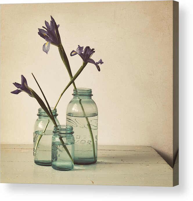 Iris Acrylic Print featuring the photograph A Little Bit Country by Amy Weiss