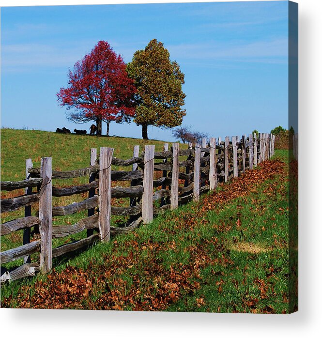 Trees Acrylic Print featuring the photograph Along the fence by Eric Liller