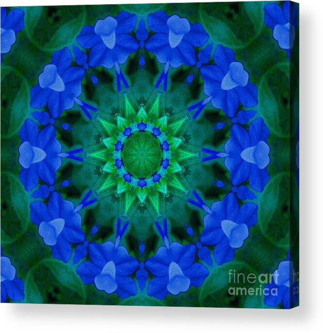 Beautiful Blue Acrylic Print featuring the photograph Beautiful Blue by Annette Allman