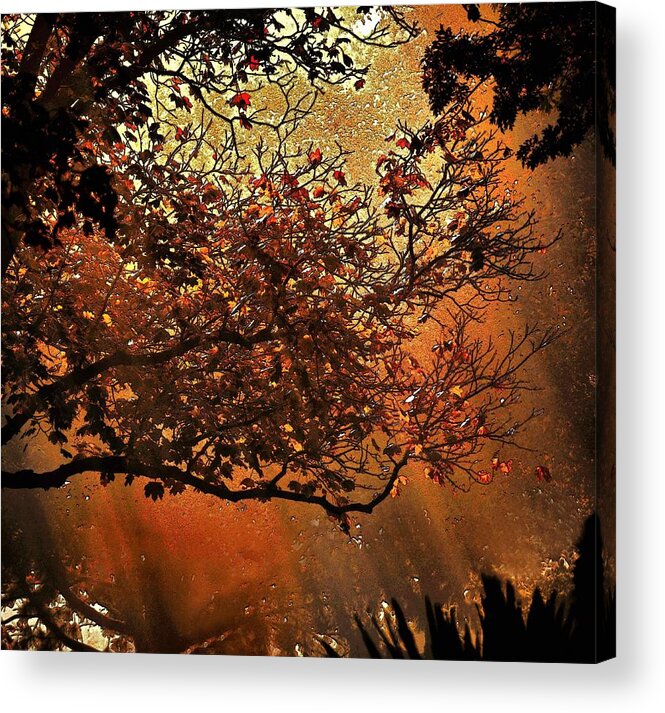 Fog Acrylic Print featuring the photograph Bewitching Kansas by Abbie Loyd Kern