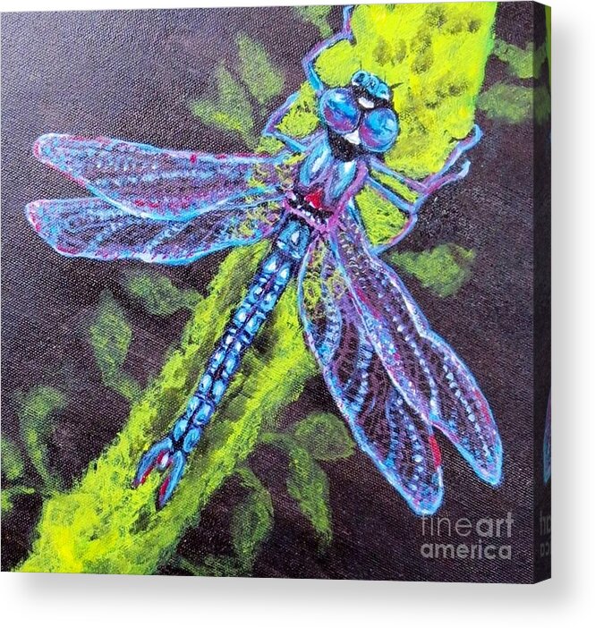 Nature Scene Dragonfly Paintings Blue Dragonfly Turned Upward Lighting On A Chartreuse Bamboo Limb Black Background Acrylic Paintings Acrylic Print featuring the painting Blue Dragonfly on Upward Wings of Flight by Kimberlee Baxter