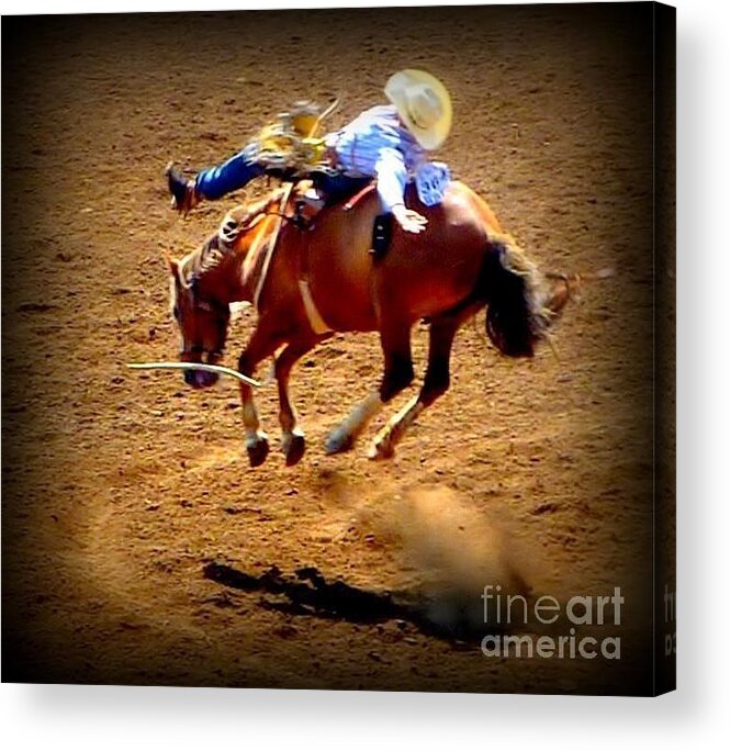 Horses Acrylic Print featuring the photograph Bucking Broncos Rodeo Time by Susan Garren