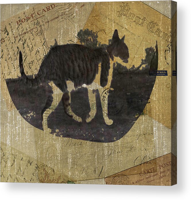 Cat Travels Acrylic Print featuring the digital art Cat Travels by Kandy Hurley