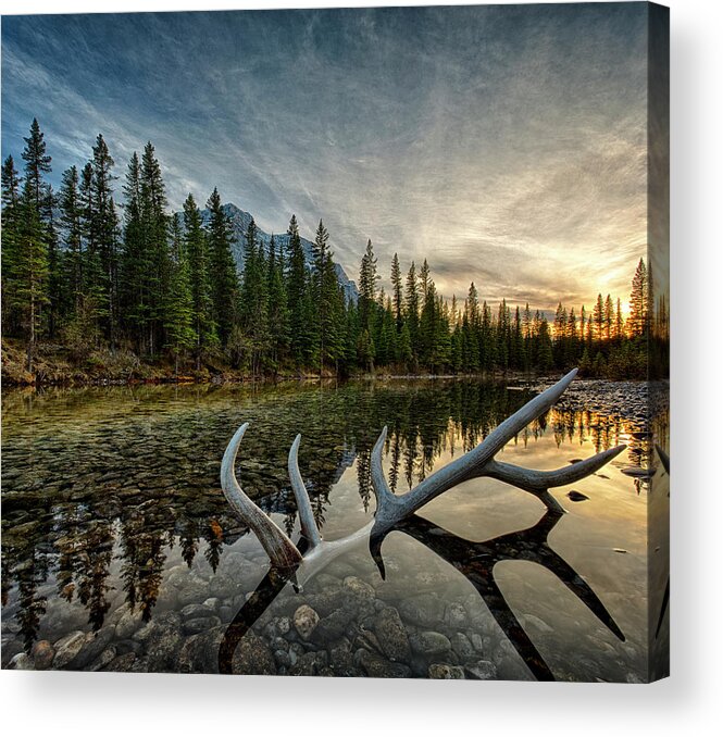 Scenics Acrylic Print featuring the photograph Elk Antler Adds Reflection To Mountain by Ascent Xmedia