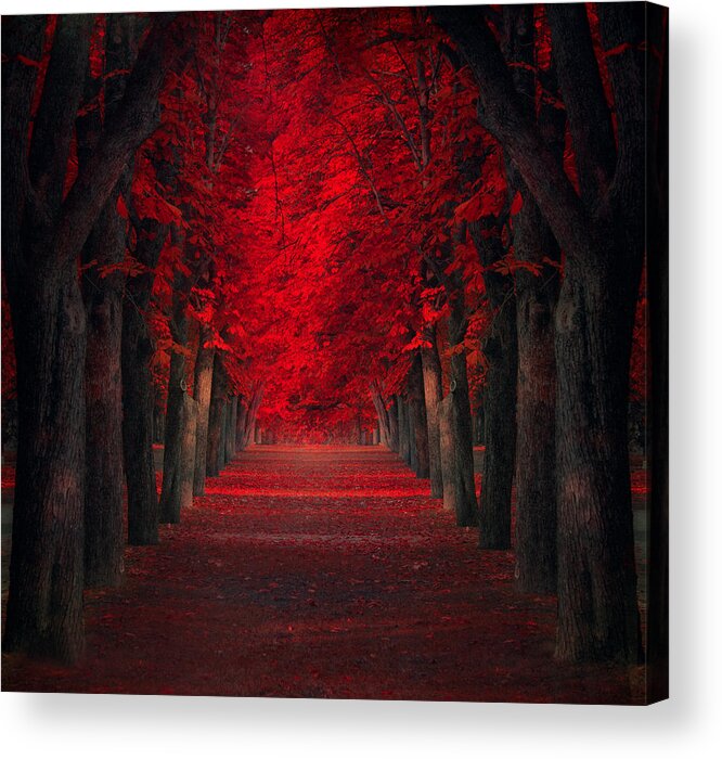 Creative Edit Acrylic Print featuring the photograph Endless Passion by Ildiko Neer