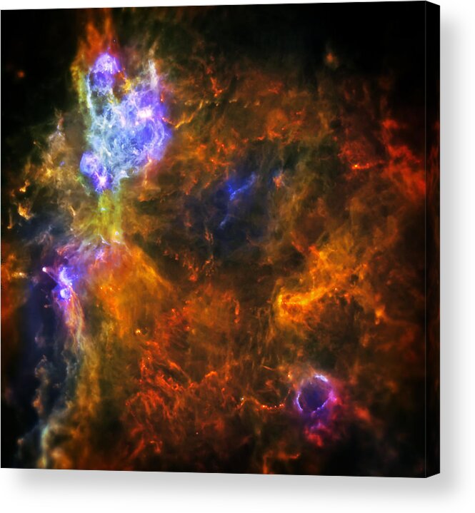 Universe Acrylic Print featuring the photograph From the Darkness by Jennifer Rondinelli Reilly - Fine Art Photography