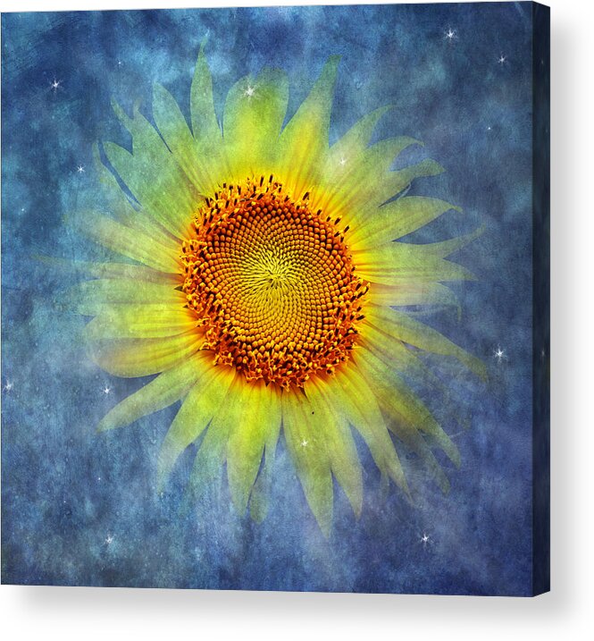 Yellow Sunflower Acrylic Print featuring the photograph Galactic Bloom by Marina Kojukhova