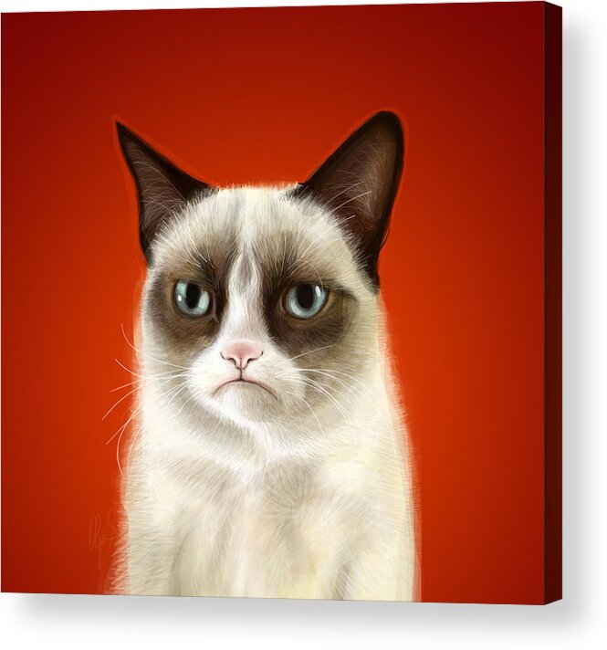 Grumpy Acrylic Print featuring the digital art Grumpy Cat by Olga Shvartsur