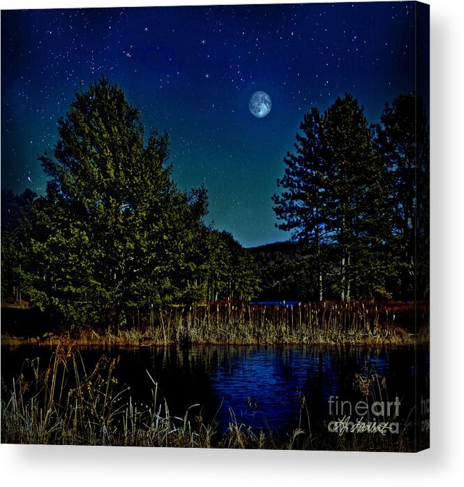 Landscape Acrylic Print featuring the photograph In My Dreams by Lisa Lambert-Shank