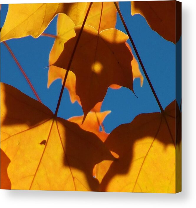Leaf Acrylic Print featuring the digital art Maple Leaf by Tg Devore