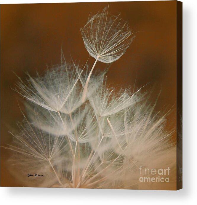 Weeds Acrylic Print featuring the photograph Martini glasses with one wine glass by Yumi Johnson