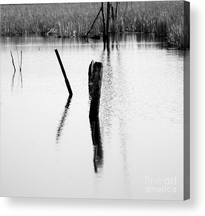 Wood Acrylic Print featuring the photograph Objects In River by Kathleen Struckle