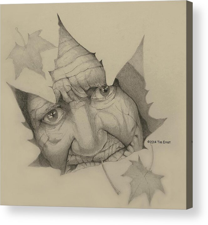Old Woman Acrylic Print featuring the drawing Old Woman Leaf by Tim Ernst