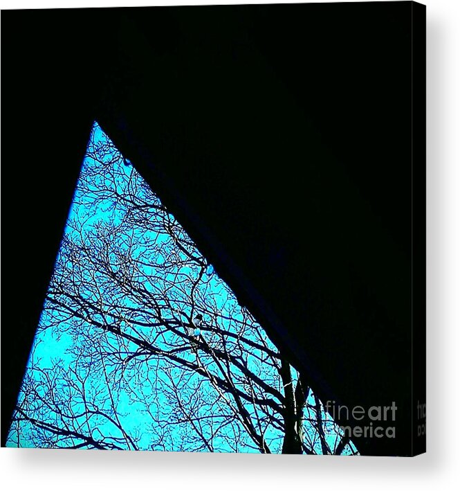 Shapes Acrylic Print featuring the photograph Blue Triangle by Jacqueline McReynolds