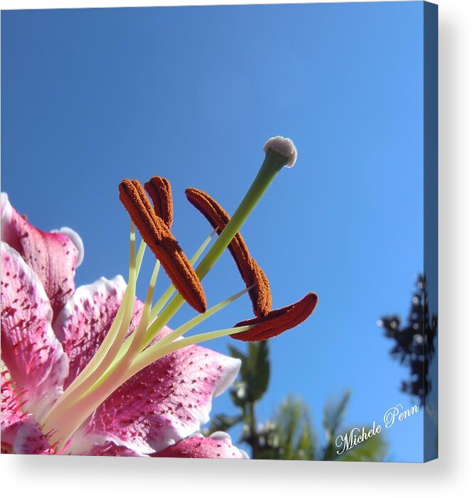 Blue Acrylic Print featuring the photograph Possibilities 2 by Michele Penn