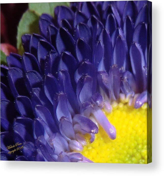 Flower Photograph Acrylic Print featuring the photograph Present Moments - signed by Michele Penn