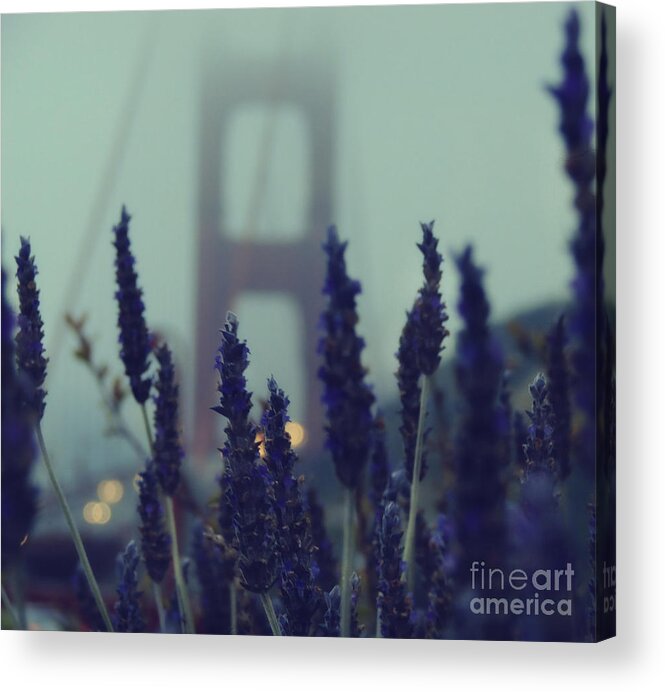 San Francisco Acrylic Print featuring the photograph Purple Haze Daze by Jennifer Ramirez