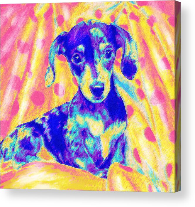 Dachshund Acrylic Print featuring the digital art Rainbow Dachshund by Jane Schnetlage
