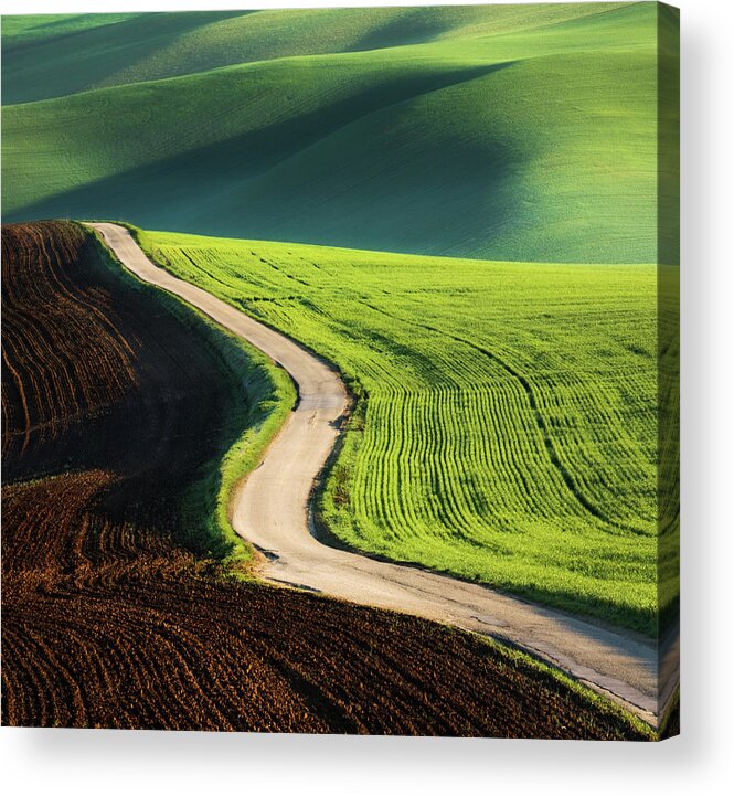Fields Acrylic Print featuring the photograph Road by Krzysztof Browko