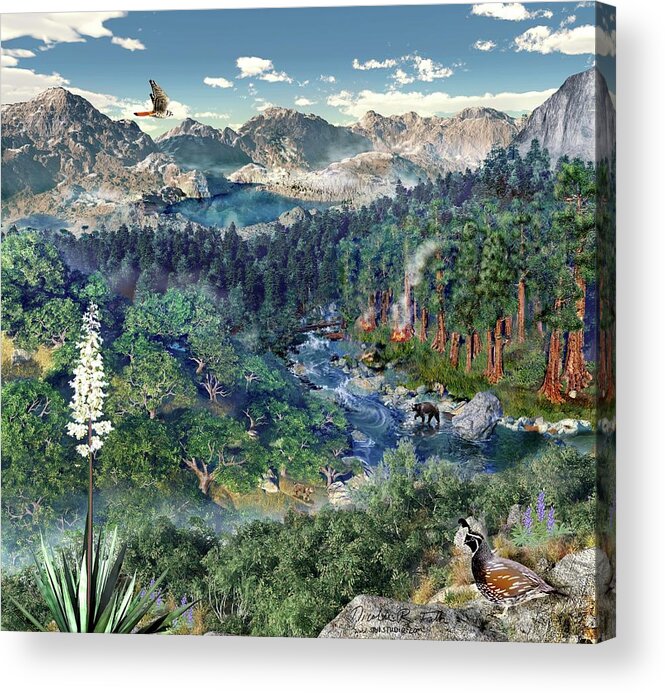 Landscape Acrylic Print featuring the photograph Sequoia And Kings Canyon Ecology by Nicolle R. Fuller/science Photo Library