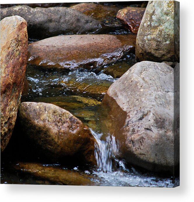 Creek Acrylic Print featuring the photograph Stones Flow by Christi Kraft