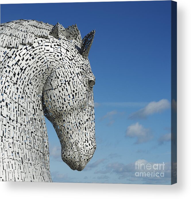 The Kelpies Acrylic Print featuring the photograph The Kelpies by Tim Gainey
