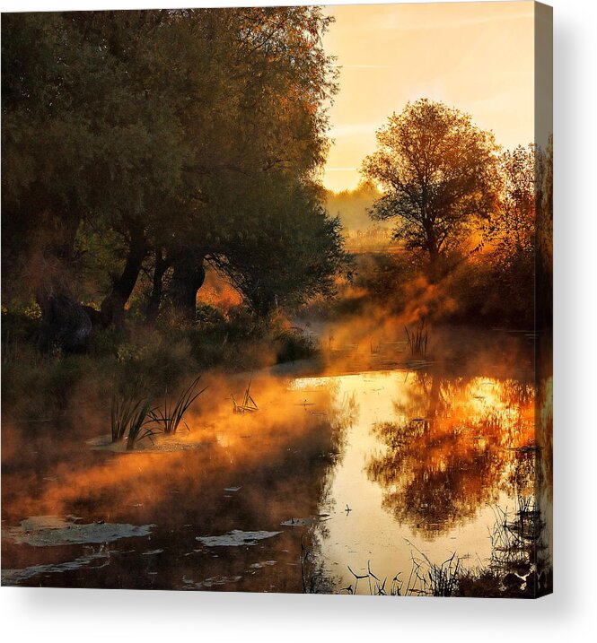 Mist Acrylic Print featuring the photograph When Nature Paints With Light by Jimbi