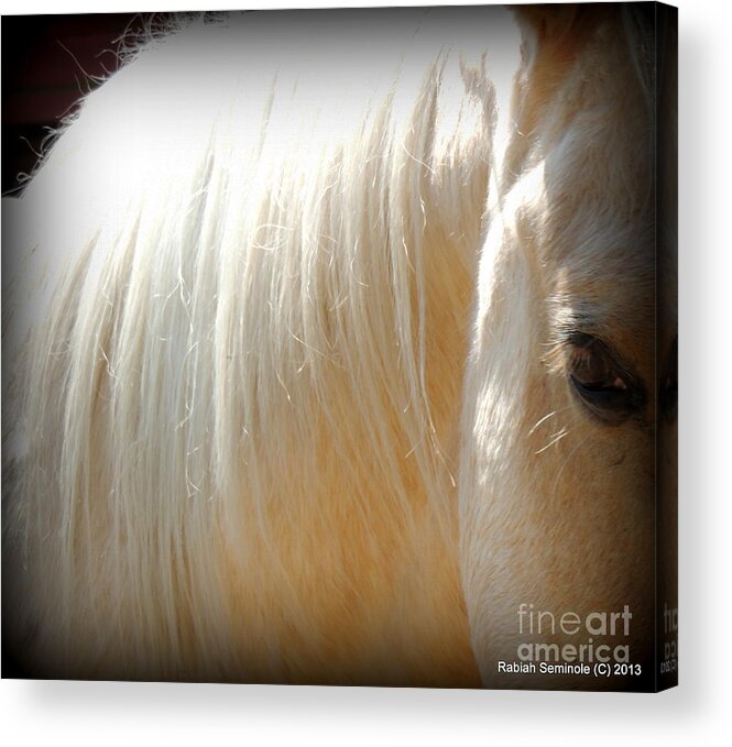 Horse Acrylic Print featuring the photograph Woody by Rabiah Seminole
