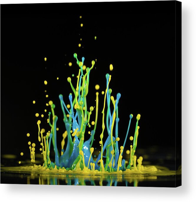 Artwork Acrylic Print featuring the photograph Yellow And Blue Splashes by Wladimir Bulgar/science Photo Library