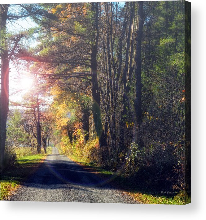 Fall Acrylic Print featuring the photograph Autumn Road by Mark Papke