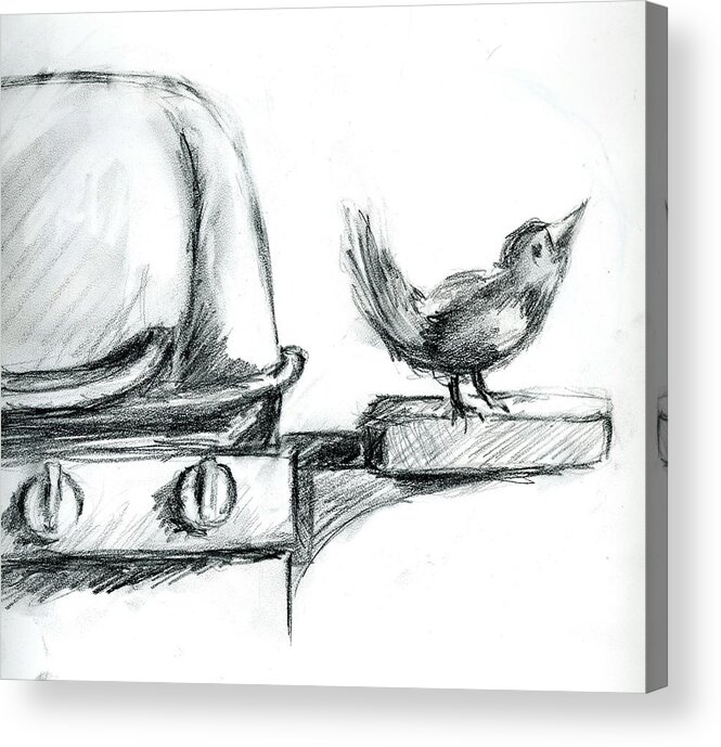 Bird Acrylic Print featuring the drawing Bird on the BBQ by Marilyn Barton